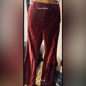 Banana Republic Velvet Bootcut Pants in Dark Spiced Rum